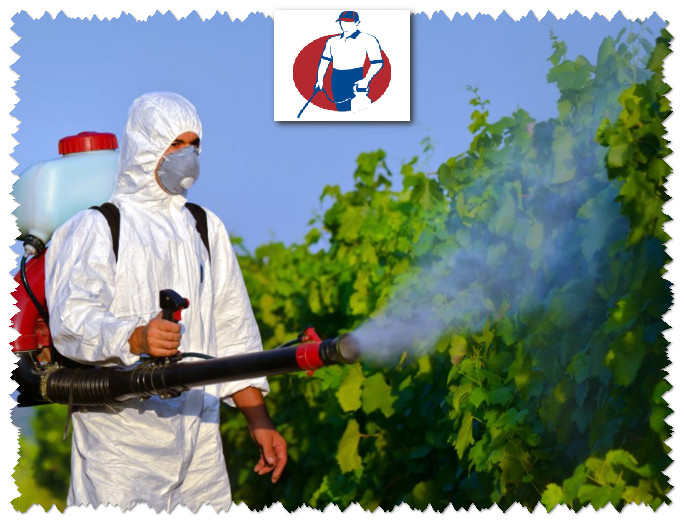 شركة مكافحة حشرات بعنك