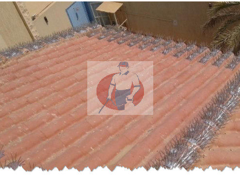 شركة تركيب طارد الحمام بالدمام