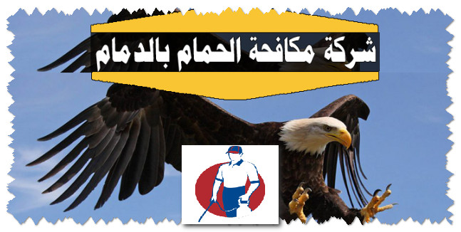 شركة مكافحة الطيور والحشرات بالدمام