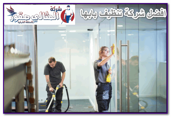 شركة تنظيف بابها