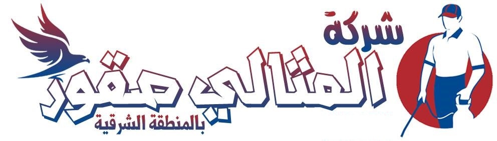 المثالى صقور logo