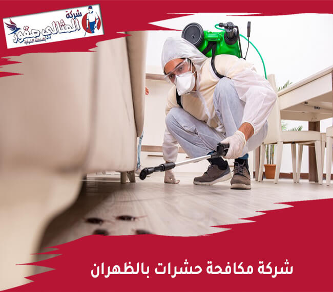 شركة مكافحة حشرات - XV. خدمات إضافية تقدمها شركات مكافحة الحشرات