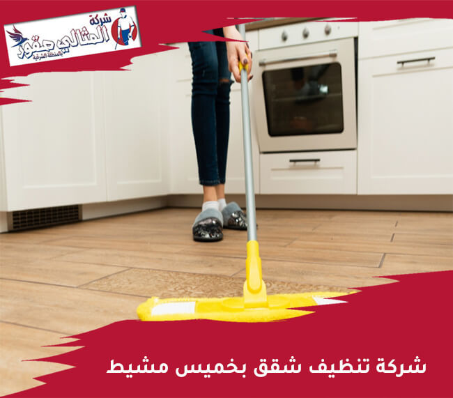 شركة تنظيف شقق بخميس مشيط