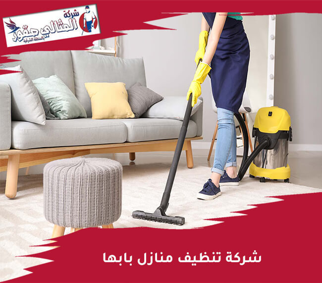 شركة تنظيف منازل بابها