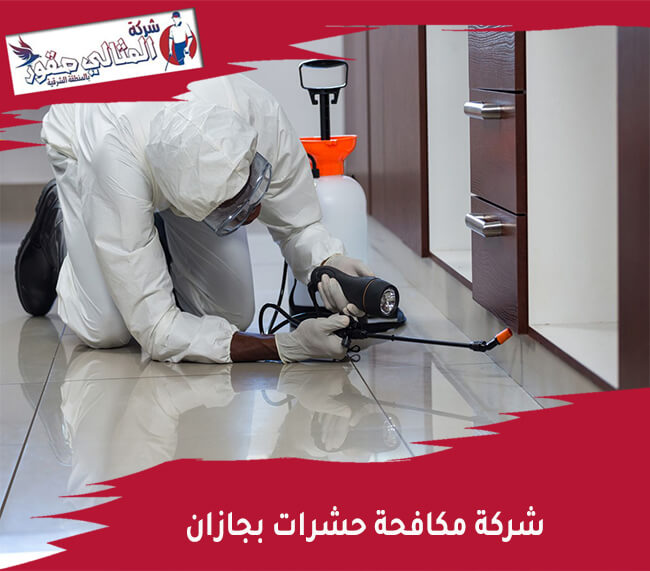 شركة مكافحة حشرات بجازان