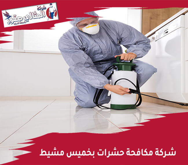 شركة مكافحة حشرات بخميس مشيط