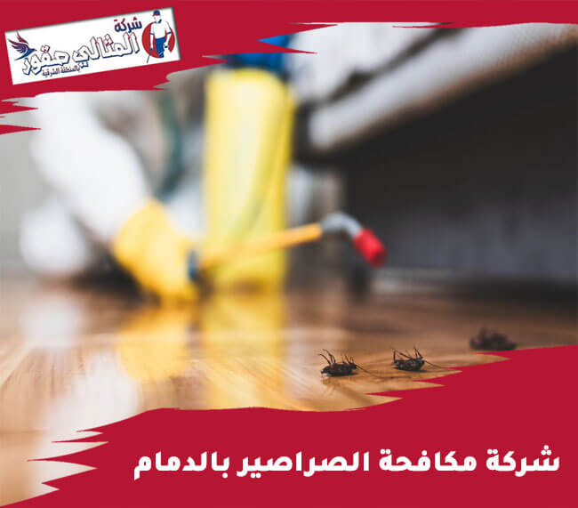 شركة مكافحة الصراصير بالدمام: حلول فعالة وآمنة