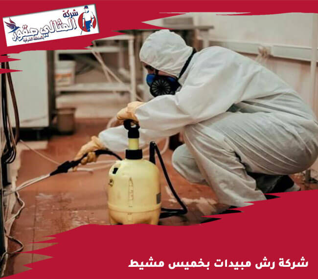 شركة رش مبيدات بخميس مشيط